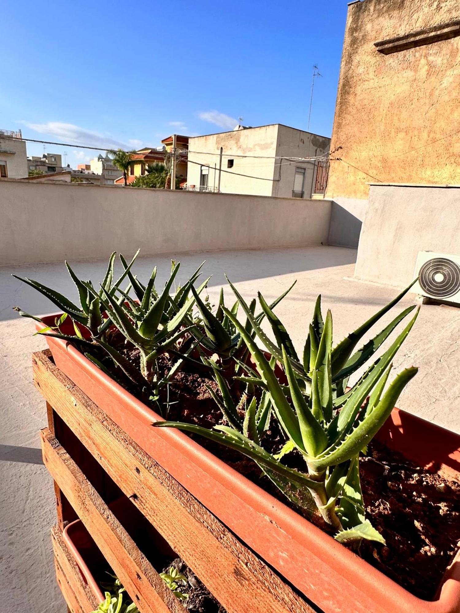Seacily House Hotel Mazara del Vallo Exterior foto